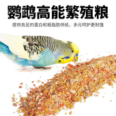 鹦鹉成鸟繁殖营养粮坚果谷子粮脱水蔬菜混合粮繁殖期蛋期鸟粮