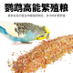鹦鹉成鸟繁殖营养粮坚果谷子粮脱水蔬菜混合粮繁殖期蛋期鸟粮