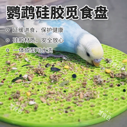 鹦鹉觅食盘啃咬硅胶食盘