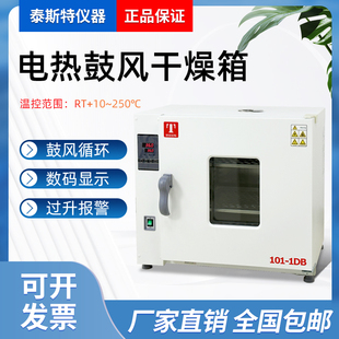 0AB鼓风干燥箱1DB恒温箱2DB烘箱3DB不锈钢加热管AB 天津泰斯特101