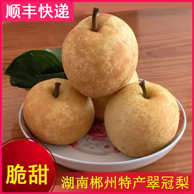 湖南文明孕妇水果黄金梨水晶梨