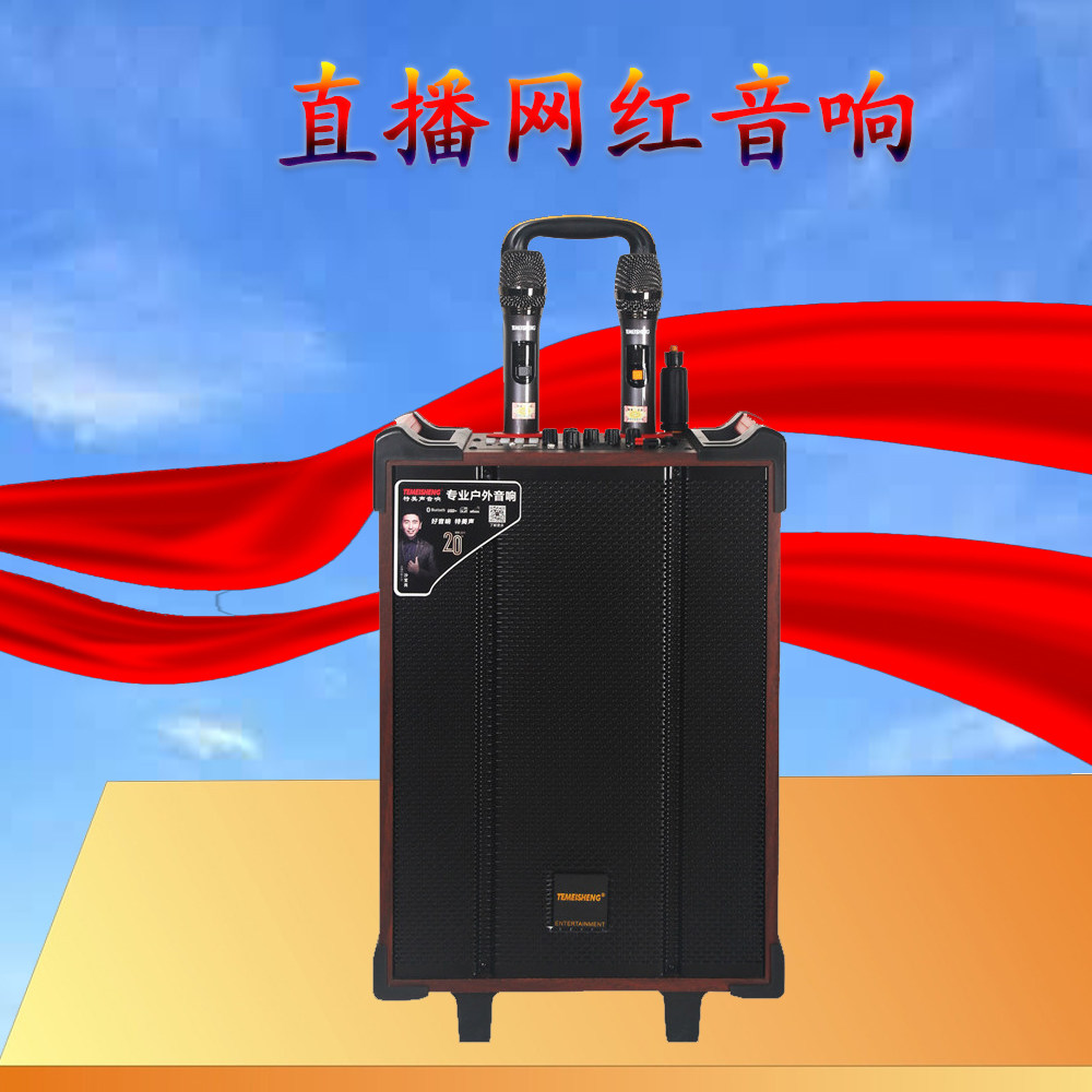 特美声QX0870网红K歌音响带声卡广场户外室内大功率移动拉杆音箱