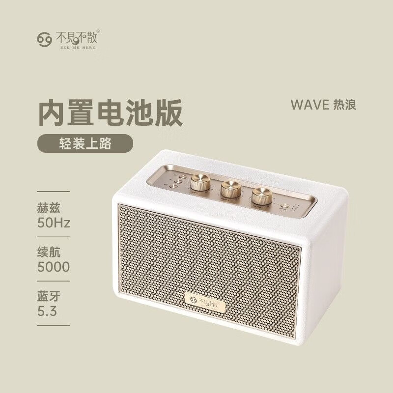 不见不散W100新款家用无线蓝牙音
