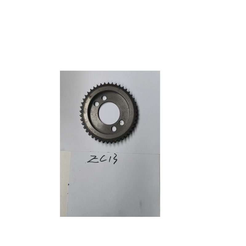 哈高（HAKO）洗地机大链轮用于B910洗地机EC13