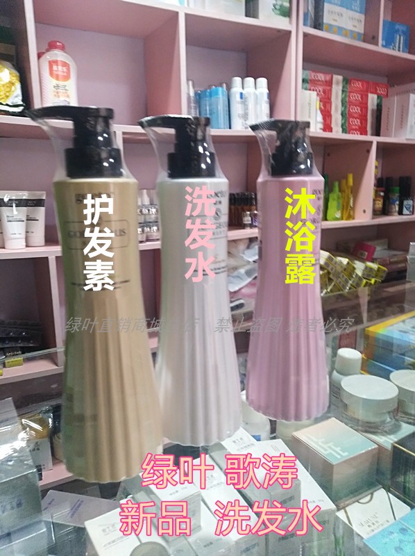 绿叶歌涛护发清盈去屑洗发水洗头膏止痒总部官方直营企业店正品