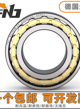 德国进口FNJ圆柱滚子轴承 N 1008 1009 1010 1011 1012 1013 EM