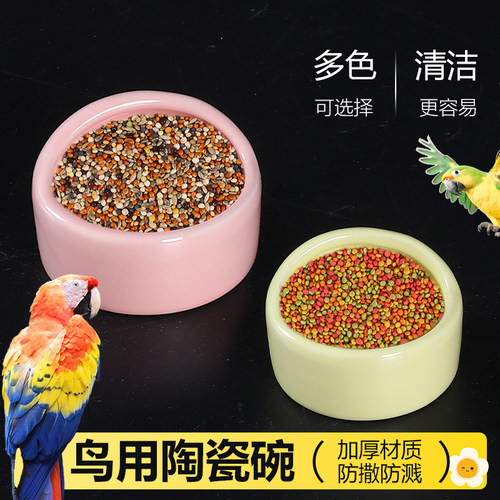 防撒防溅食碗自动喂水饮水器喂食器下料器用品鹦鹉食盆陶瓷鸟食罐
