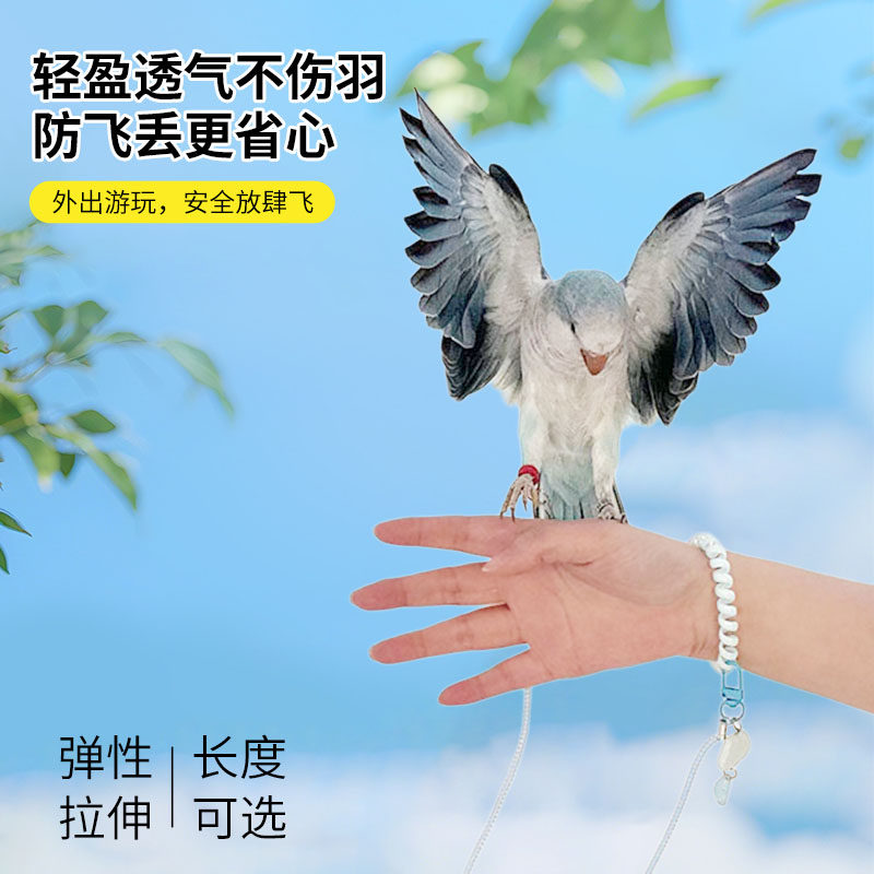 鹦鹉放飞绳不伤脚超轻训练绳虎皮玄凤牡丹脚环脚链训鸟遛鸟飞行绳