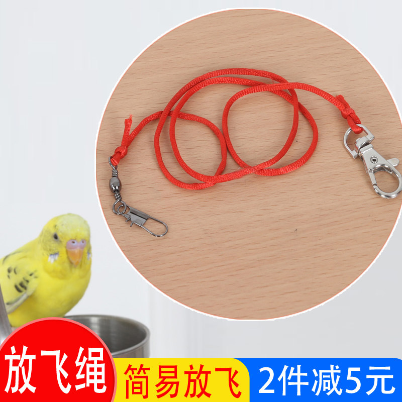 鸟用品用具练习放飞绳训练绳伯劳喜鹊蜡嘴皂脖套脖链脚套