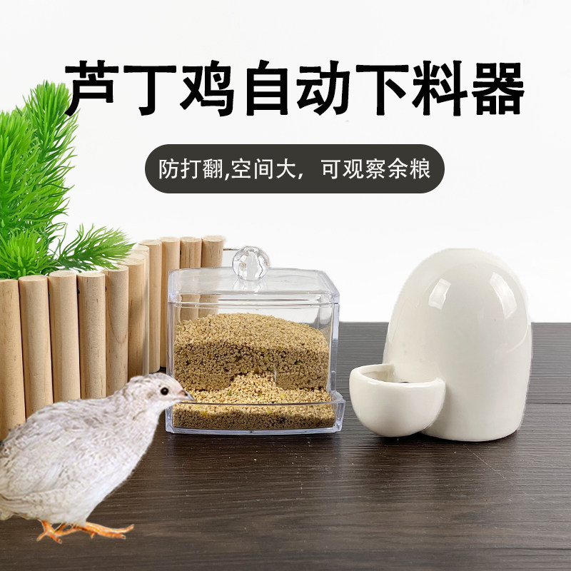 开心宠乐园芦丁鸡喂食喂水器