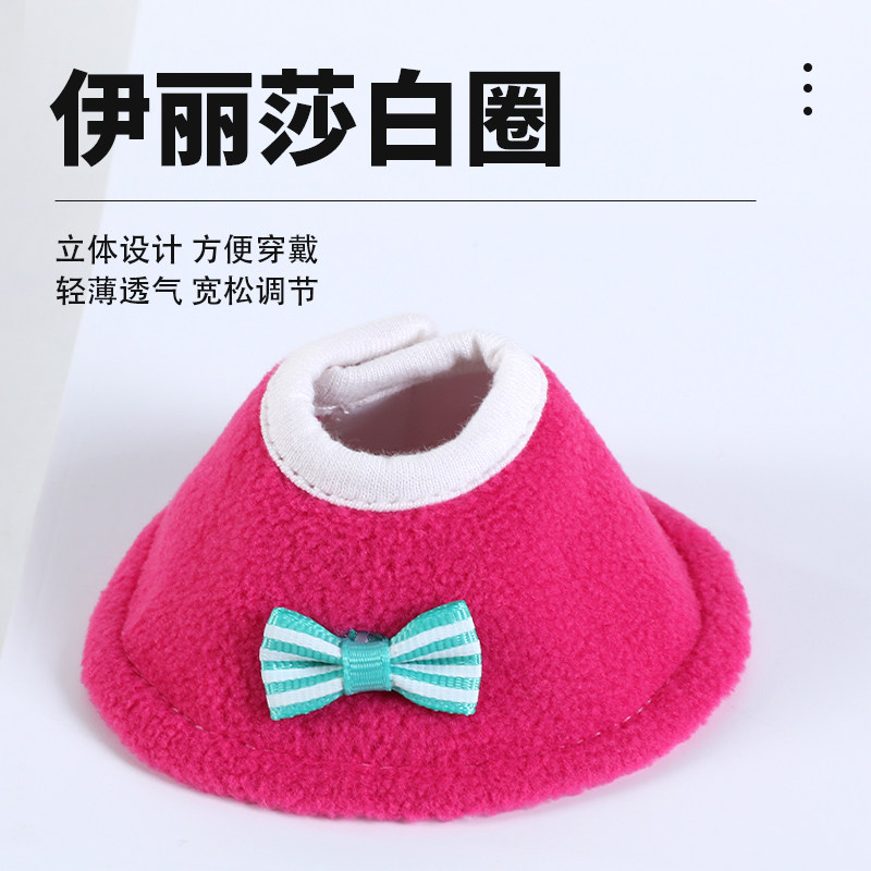 鹦鹉伊丽莎白圈防啄毛防咬受伤保护项圈小宠防啃咬防舔伤宠物用品