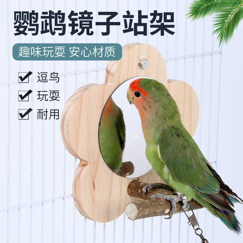 材质鸟食盒喂鸟器八哥杯食槽水盆