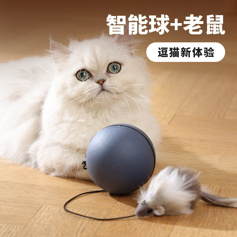 猫咪玩具自嗨球解闷神器逗猫棒耐咬逗狗球避障仓鼠跑球猫用品大全