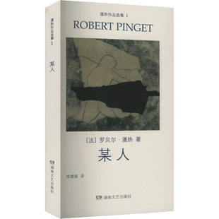 某人 (法)罗贝尔·潘热 著 李建新 译 英国文学/欧洲文学文学 新华书店正版图书籍 湖南文艺出版社