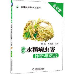 图说水稻病虫害诊断与防治 全彩版 水稻栽培种植技术大全书籍水稻高产栽培新技术大米高效栽培种植 种水稻的书科学种植农作物 正版