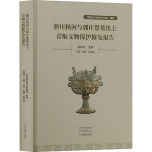 淅川杨河与郭庄楚墓出土青铜文物保护修复报告 河南省文物考古研究院;赵晟伟;刘欣,陈阵 编 文物/考古社科 新华书店正版图书籍