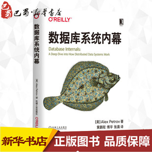 數據庫系統內幕 圖書籍 數據庫專業科技 著 Alex 新華書店正版 傅宇 亞歷克斯·彼得羅夫 張晨 譯 黃鵬程 美 Petrov