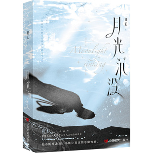 月光沉没 初禾 著 青春/都市/言情/轻小说文学 新华书店正版图书籍 中国言实出版社