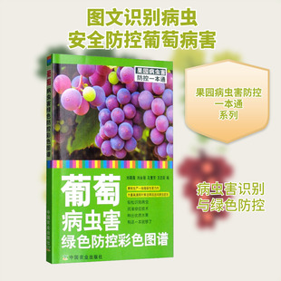 葡萄病虫害绿色防控彩色图谱 刘薇薇 等 编 农业基础科学专业科技 新华书店正版图书籍 中国农业出版社