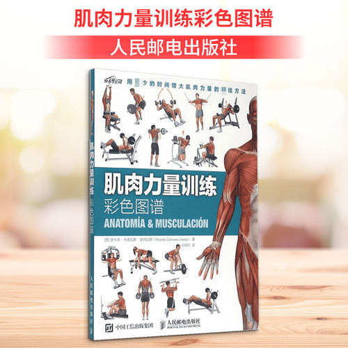 新华书店正版 体育