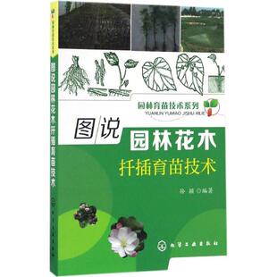 化学工业出版 著 新 水利 建筑 编著 专业科技 图说园林花木扦插育苗技术 社 孙颖 图书籍 新华书店正版