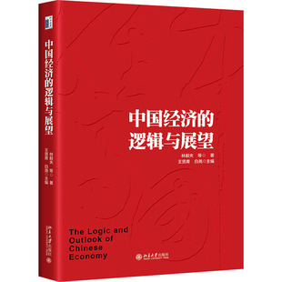 等 社 北京大学出版 金融投资经管 逻辑与展望 林毅夫 励志 王贤青 著 图书籍 中国经济 白尧 新华书店正版 编