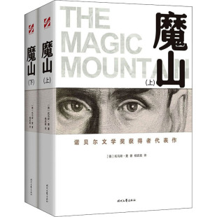 图书籍 社 托马斯·曼 译 外国小说文学 杨武能 德 著 时代文艺出版 魔山 新华书店正版 全2册
