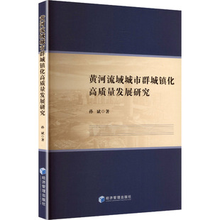 黄河流域城市群城镇化高质量发展研究 孙斌 著 著 经济理论经管、励志 新华书店正版图书籍 经济管理出版社