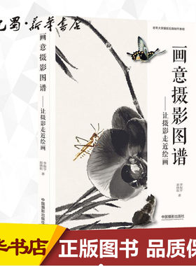画意摄影图谱——让摄影走进绘画 李振宇,赵晓航 著 摄影艺术（新）艺术 新华书店正版图书籍 中国摄影出版社