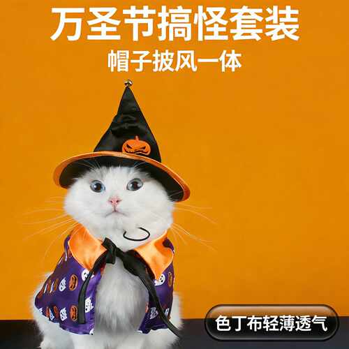 万圣节宠物巫师套装猫咪帽子披风小狗搞怪 cos 节日拍照装扮衣服