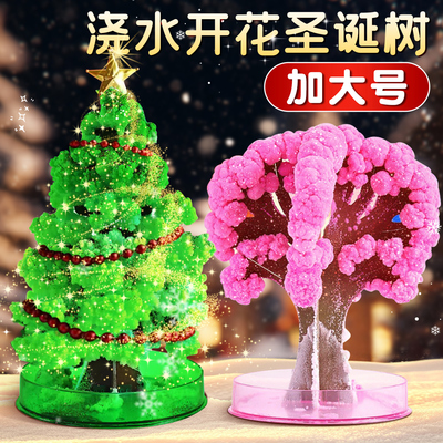 【加大号】魔法圣诞树浇水开花
