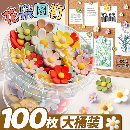100个ins花朵彩色图钉工字钉