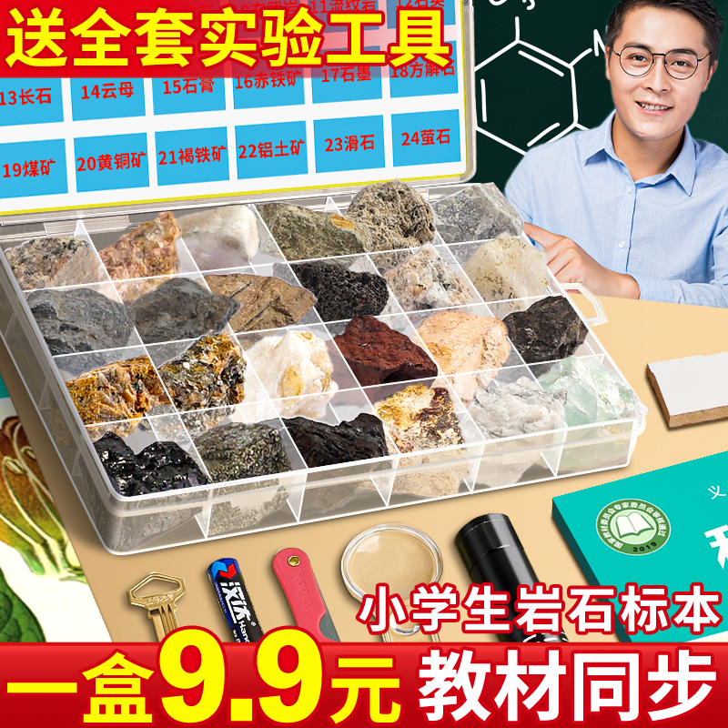 一盒9.9元】四年级科学岩石标本
