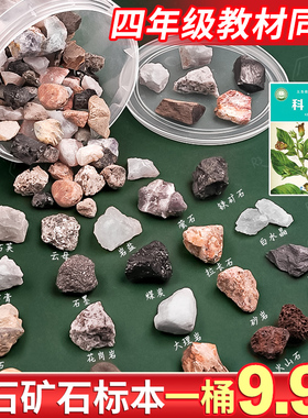 桶装】四年级科学下册小学生岩石标本与矿石标本土壤科学课学生用矿物石头教具花岗岩科普观察实验材料套装B1