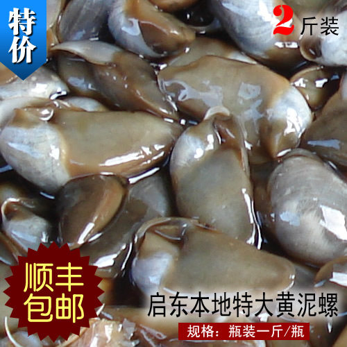启东特产吕四海鲜 即食特级无沙醉泥螺 黄泥螺 2斤包邮非宁波产