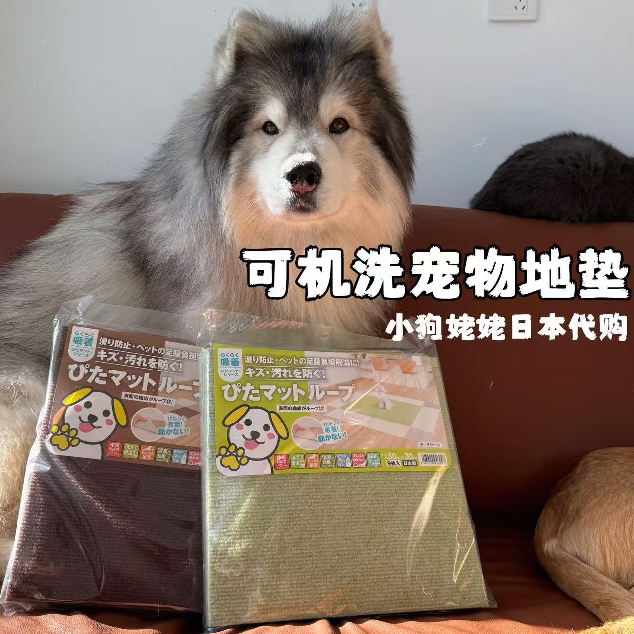 【日本代購】大戶人家小狗防滑靜音地墊 可機洗
