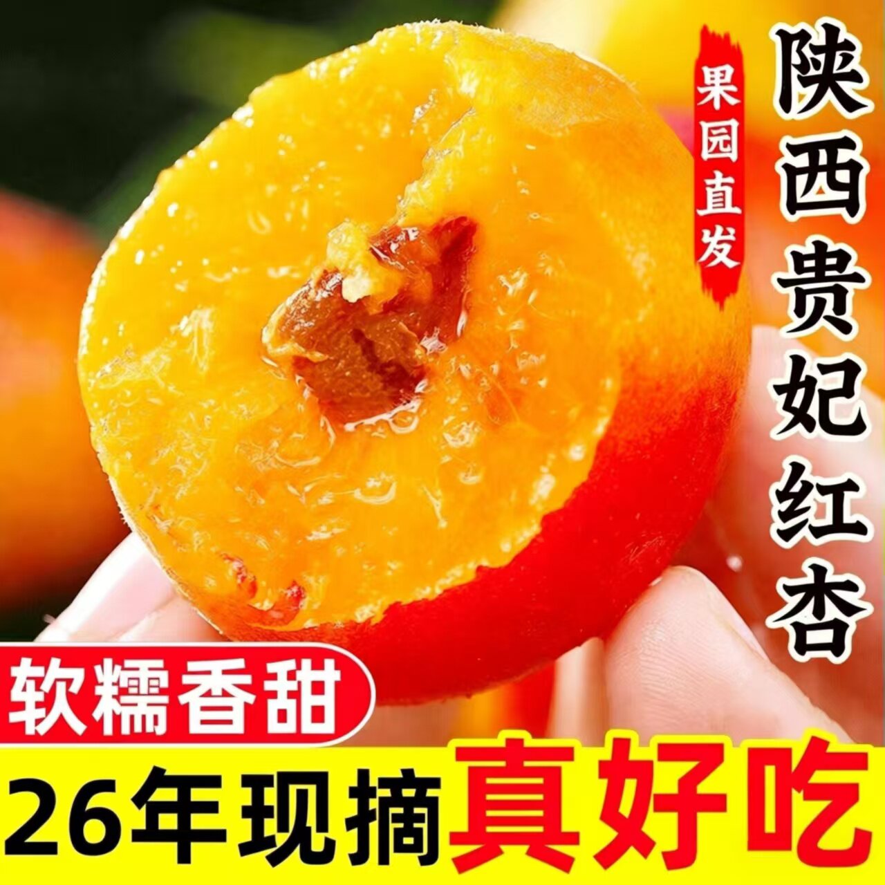 【爆甜】现摘陕西胭脂大红杏新鲜贵妃红杏当季水果杏子甜杏仁整箱