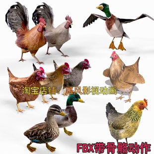 3dmax家禽鸡鸭模型maya公鸡母鸡土鸡绿头鸭子fbx骨骼动作blender