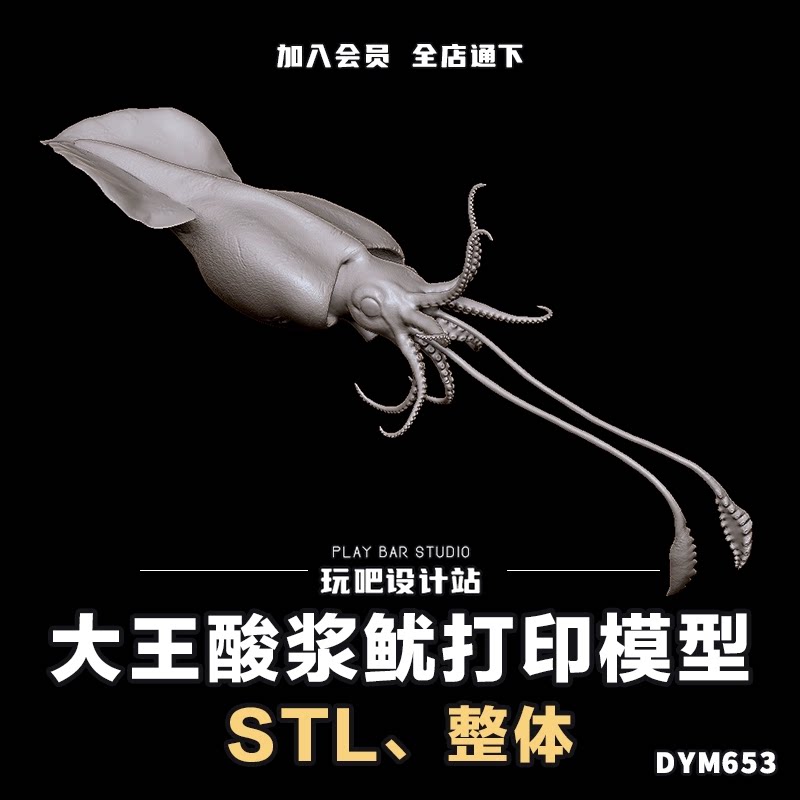 海洋生物大王酸浆鱿stl三维模型3d打印圆雕图纸c4d动物建模参考