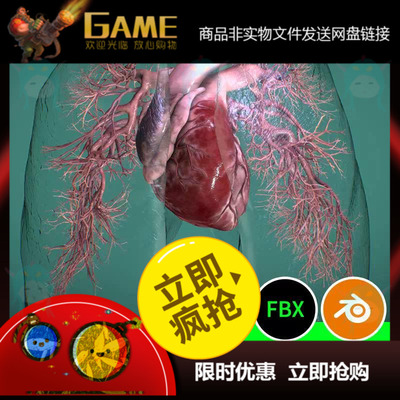 心肺部心脏血管动脉三维3D模型建模FBX OBJ Blender医学下载128