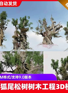 Speed Tree写实狐尾松树树木大树3D模型SpeedTree工程文件ue5素材