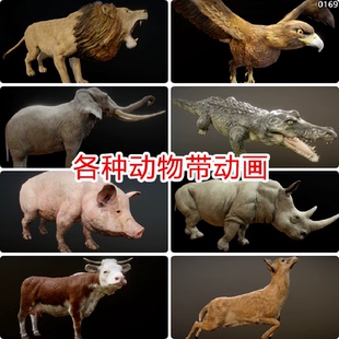 unity3d写实动物模型资产带动画动作绵羊鸟类野生狮子建模u3d素材