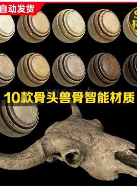 Substance Painter人类动物骨头骷髅骨骼骷髅纹理spsm智能材质球