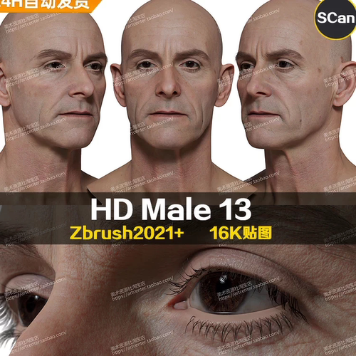 3DScan store/Ten24写实高清扫描模型ZBrush男性头部HD Male 13