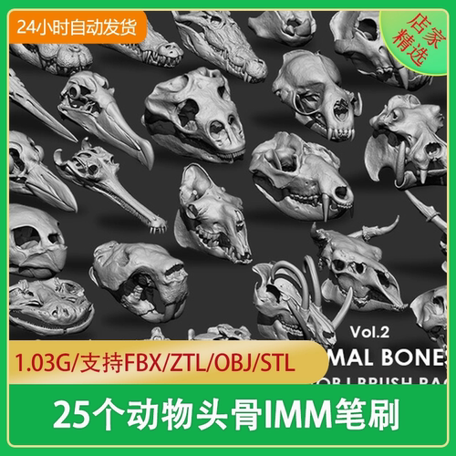 ZBrush动物头部头颅骨骼鸟类犀牛头骨高模3d模型OBJ和IMM笔刷ZBP