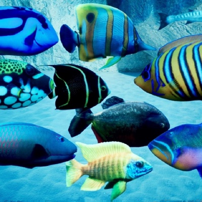 UE5.1热带海洋鱼群粒子顶点动画粒子特效Fish Schooling VFX Pack