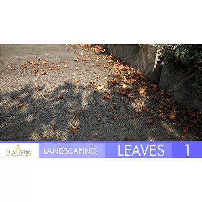 UE5.3-5.5高精度写实枯叶落叶堆模型粒子特效Landscaping Leaves