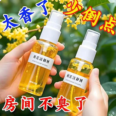 卫生间除异味空气芳香剂空气清新剂家用卧室除臭剂净化剂车载香水