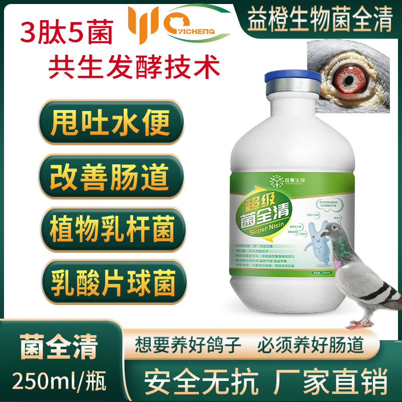 超级菌全清赛鸽日常使用赛鸽鸽子保健用品非鸽药