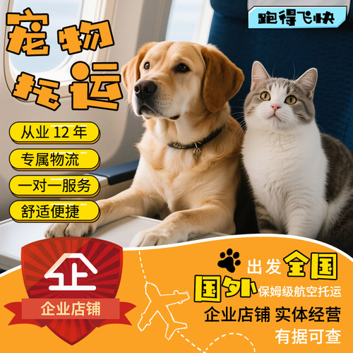 宠物托运成都出发猫狗空运托运
